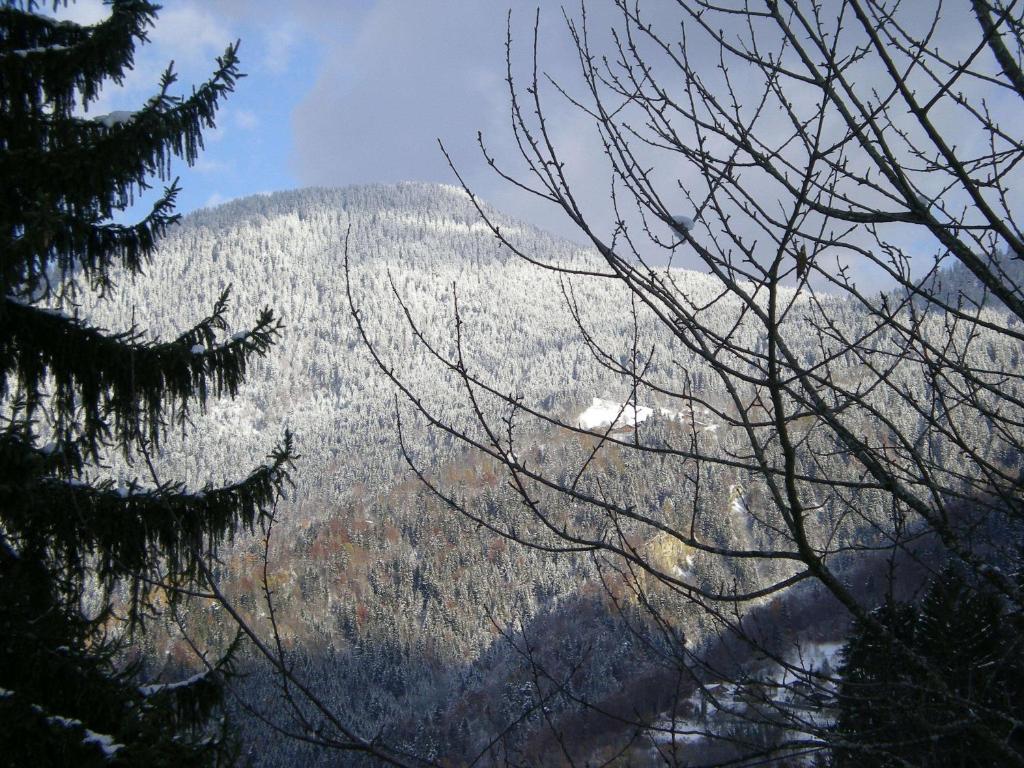 Le Caribou Villa แซ็งต์-แฌร์เวส์-เลส์-แบ็งส์ ภายนอก รูปภาพ